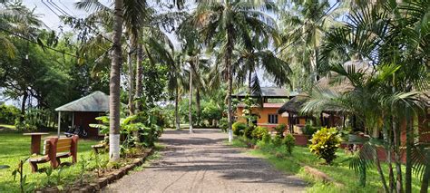 nua goa